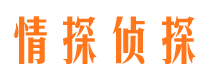 龙胜寻人公司